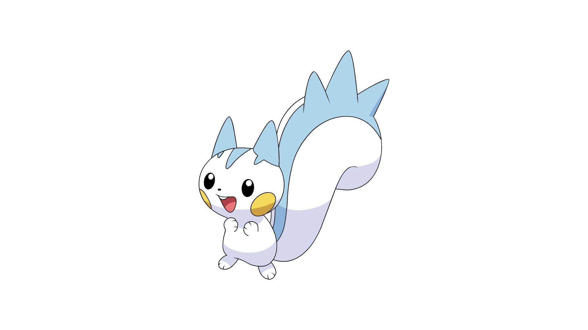 Pachirisu Hd Wallpapers