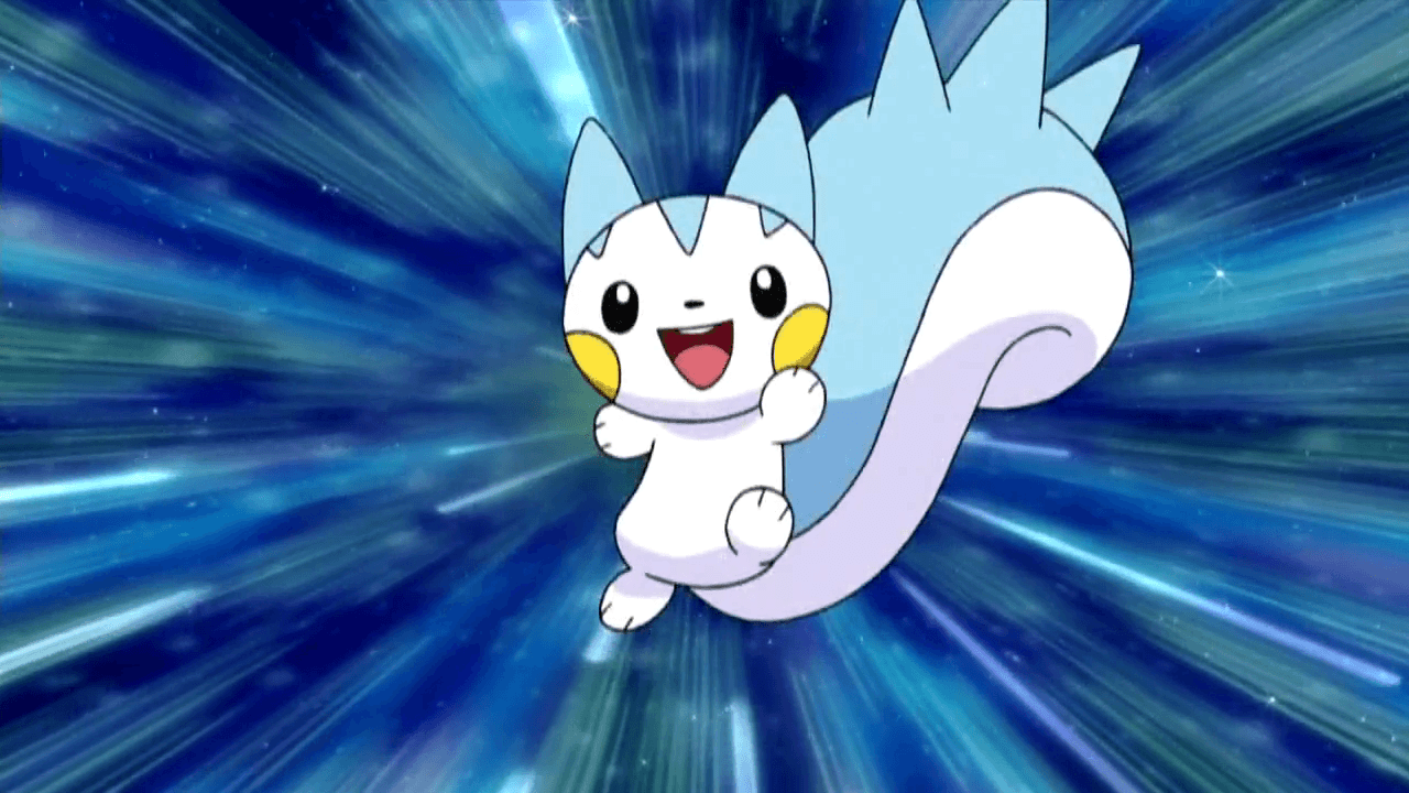 Pachirisu Hd Wallpapers