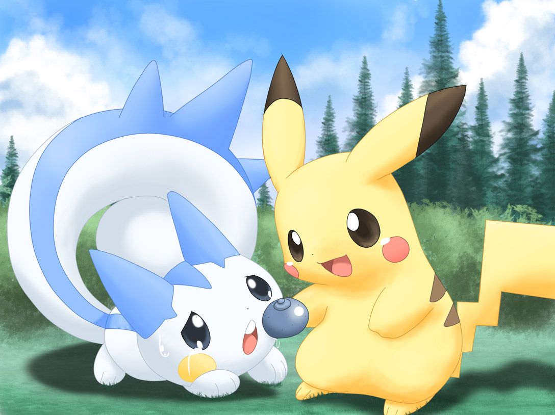 Pachirisu Hd Wallpapers