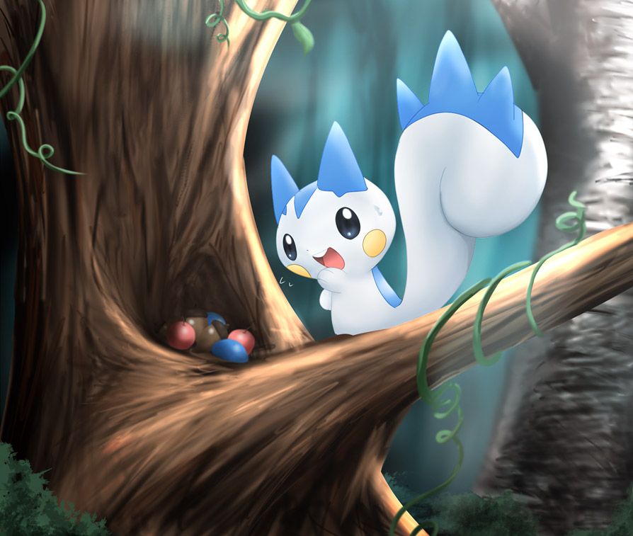 Pachirisu Hd Wallpapers