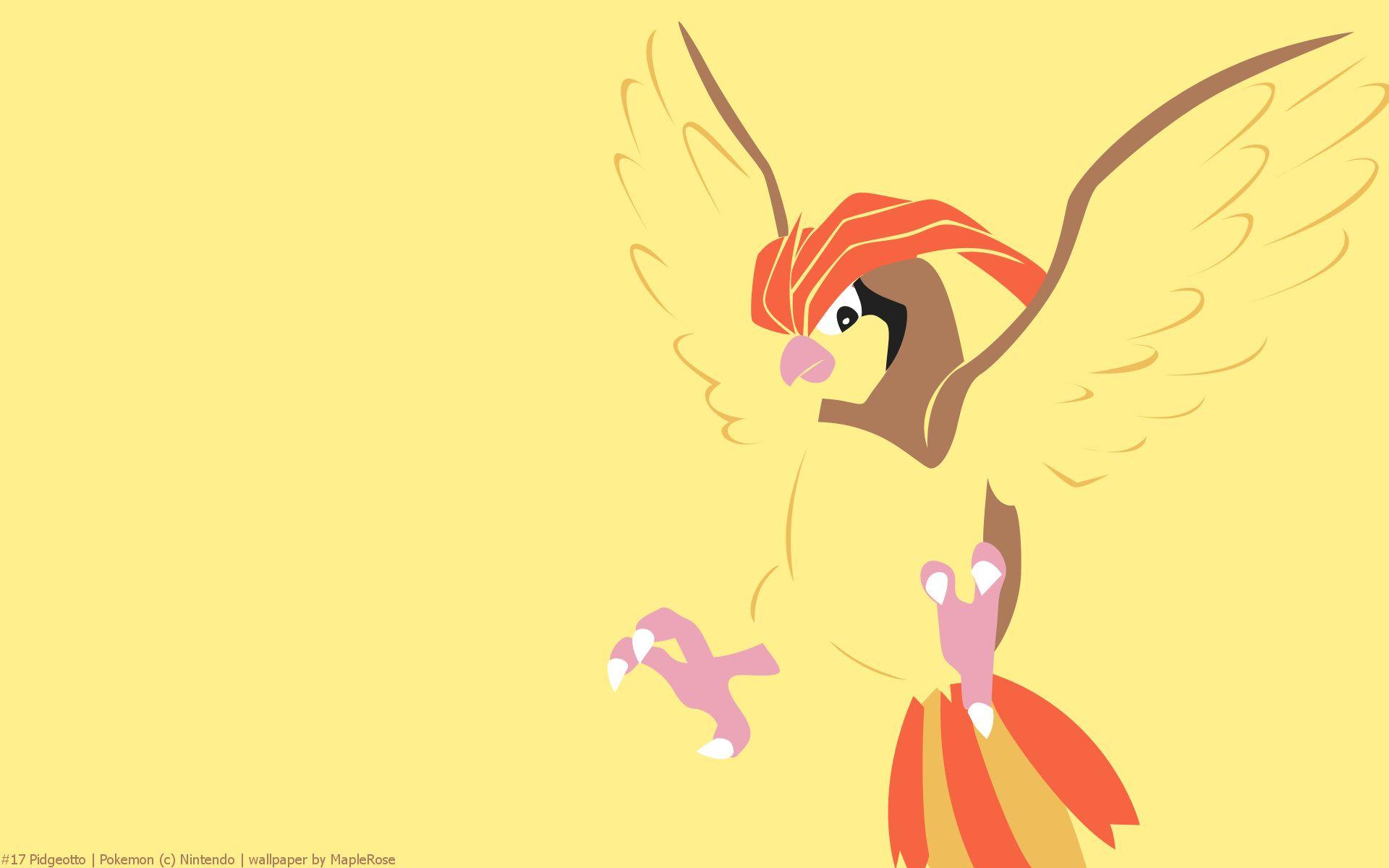 Pidgeotto Hd Wallpapers