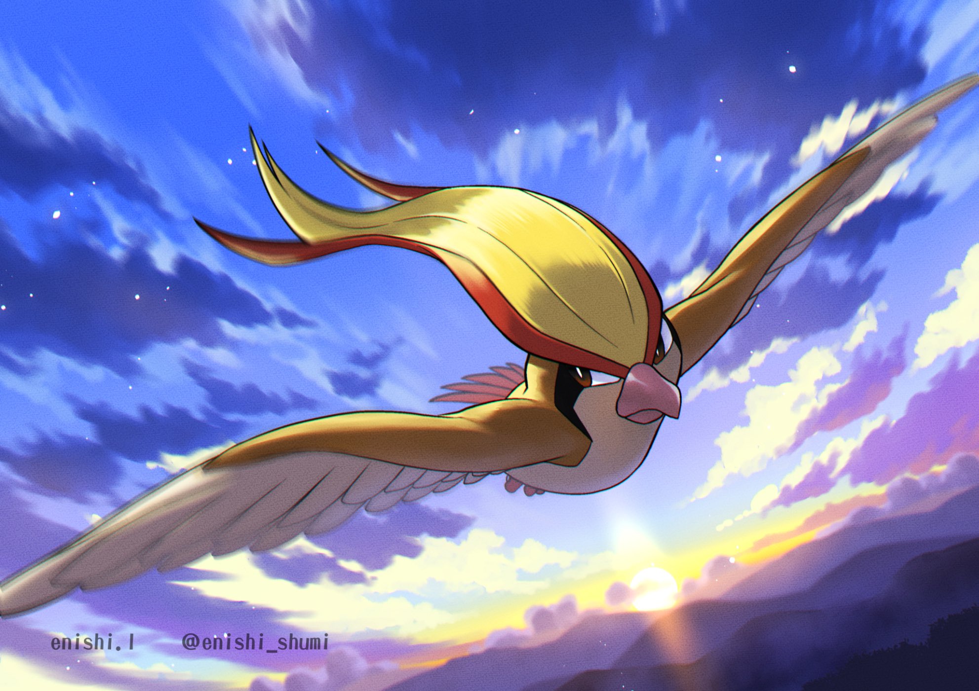 Pidgeotto Hd Wallpapers