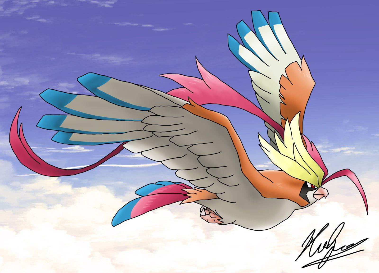 Pidgeotto Hd Wallpapers