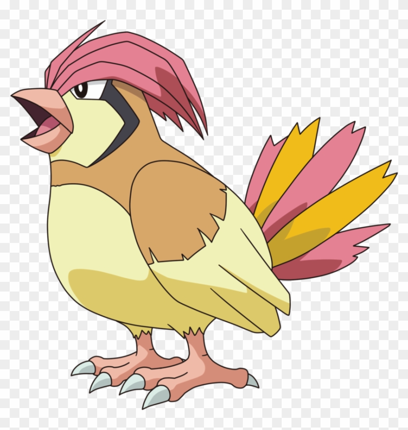 Pidgeotto Hd Wallpapers