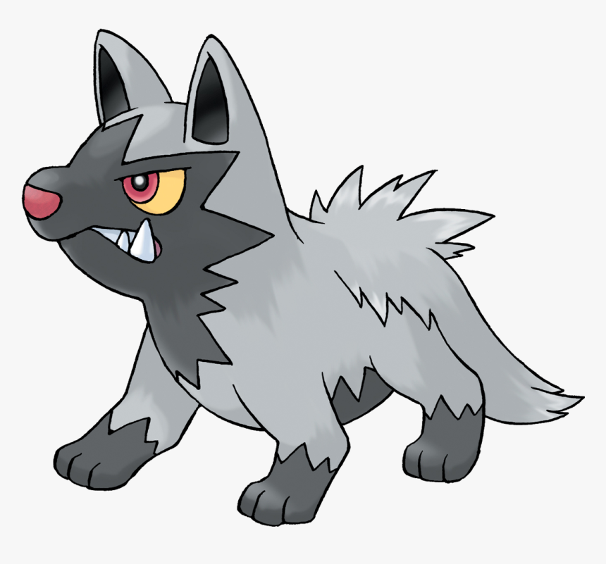 Poochyena Hd Wallpapers