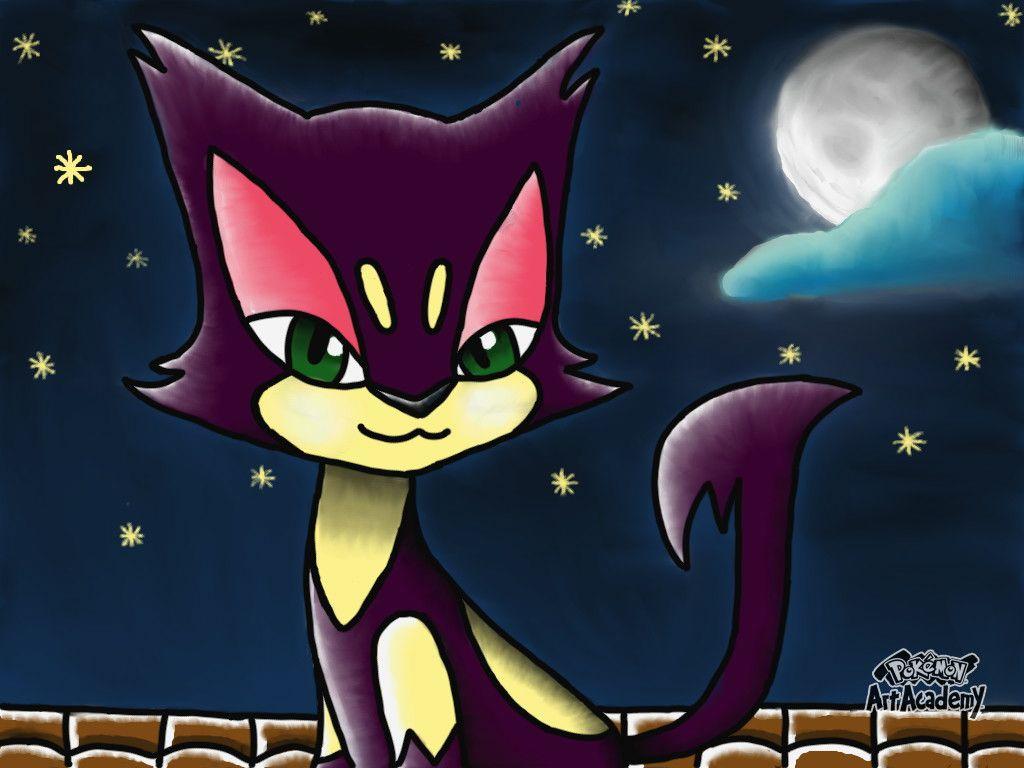 Purrloin Hd Wallpapers