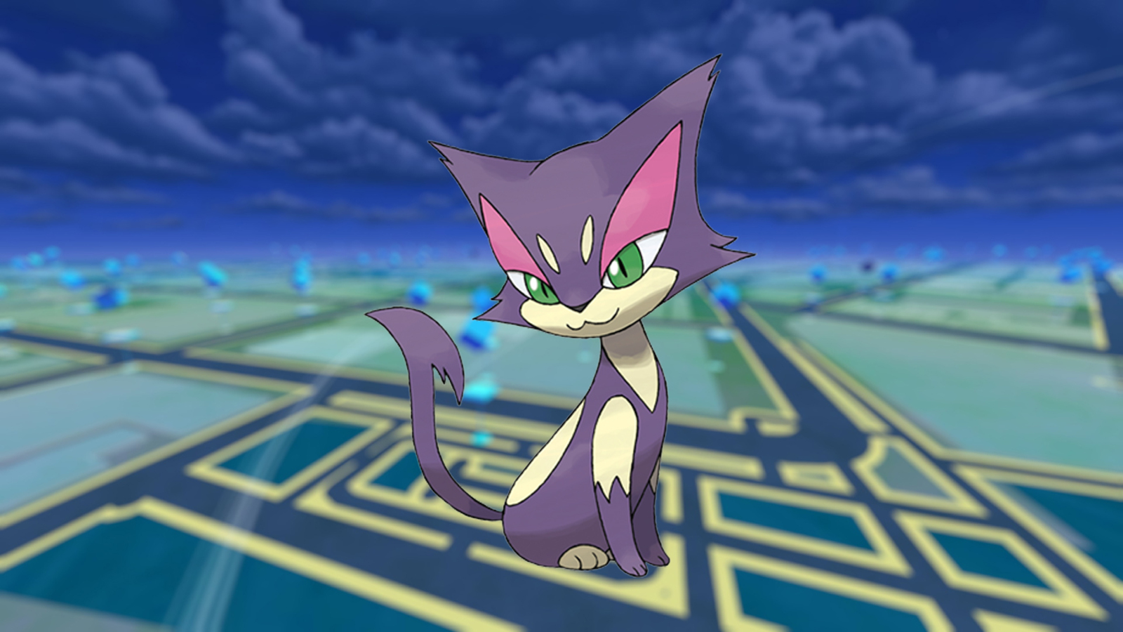 Purrloin Hd Wallpapers