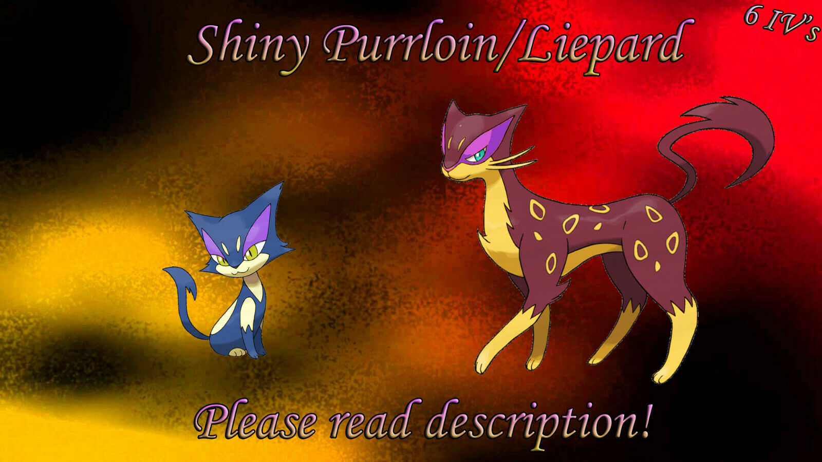 Purrloin Hd Wallpapers