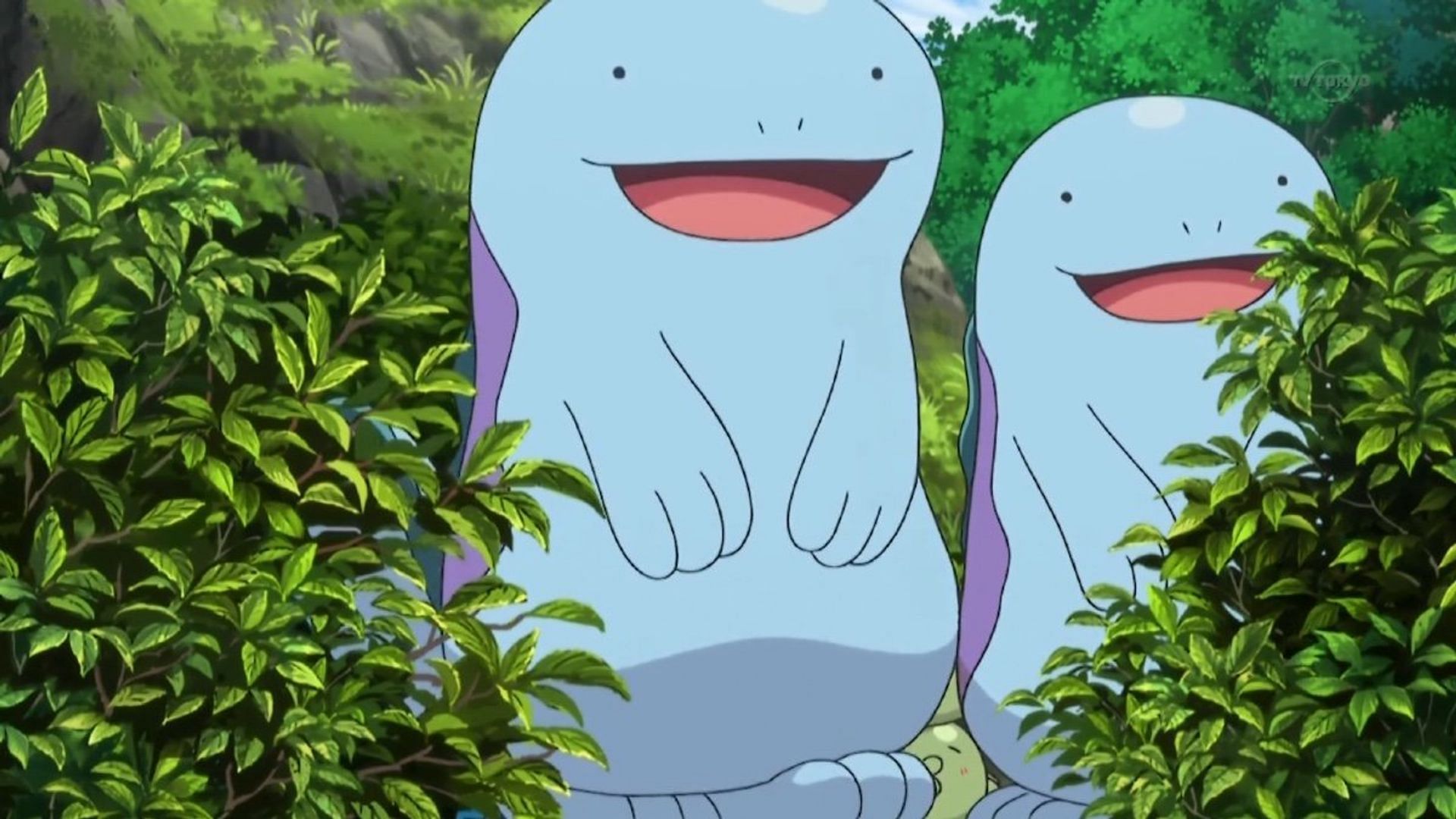 Quagsire Hd Wallpapers