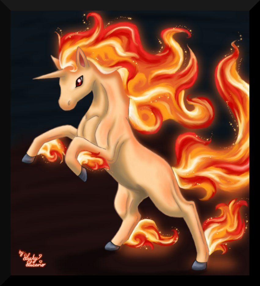 Rapidash Hd Wallpapers