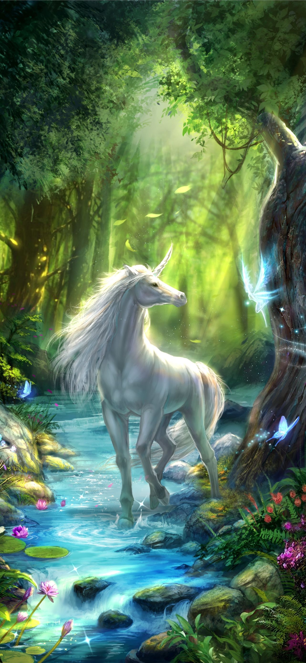 Rapidash Hd Wallpapers