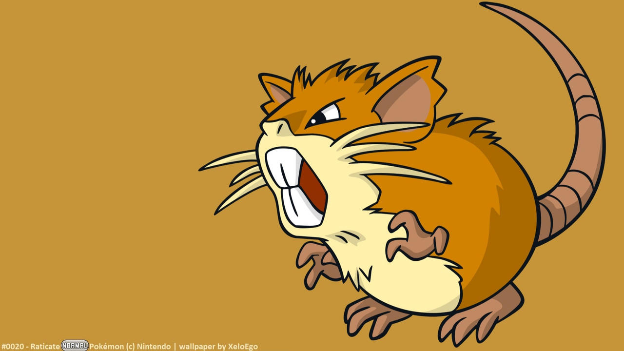 Raticate Hd Wallpapers