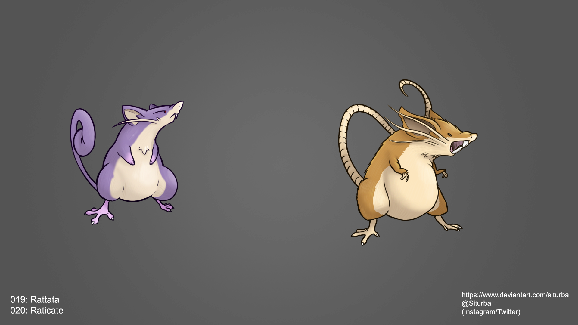 Raticate Hd Wallpapers