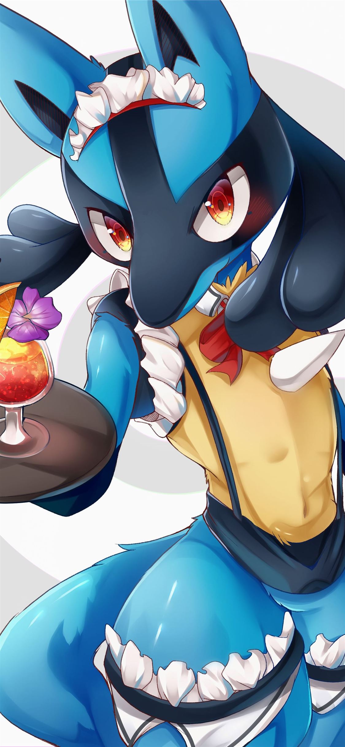 Riolu Hd Wallpapers