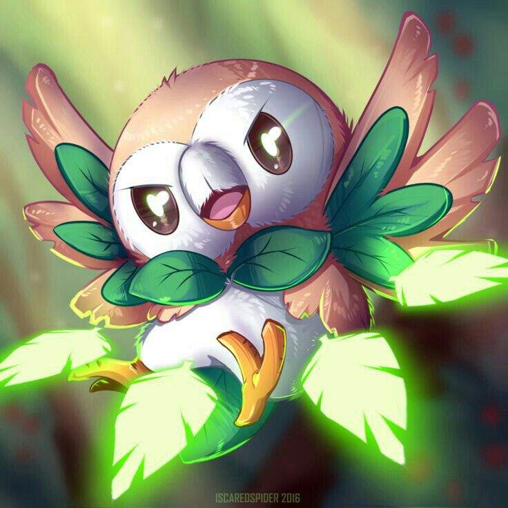 Rowlet Hd Wallpapers