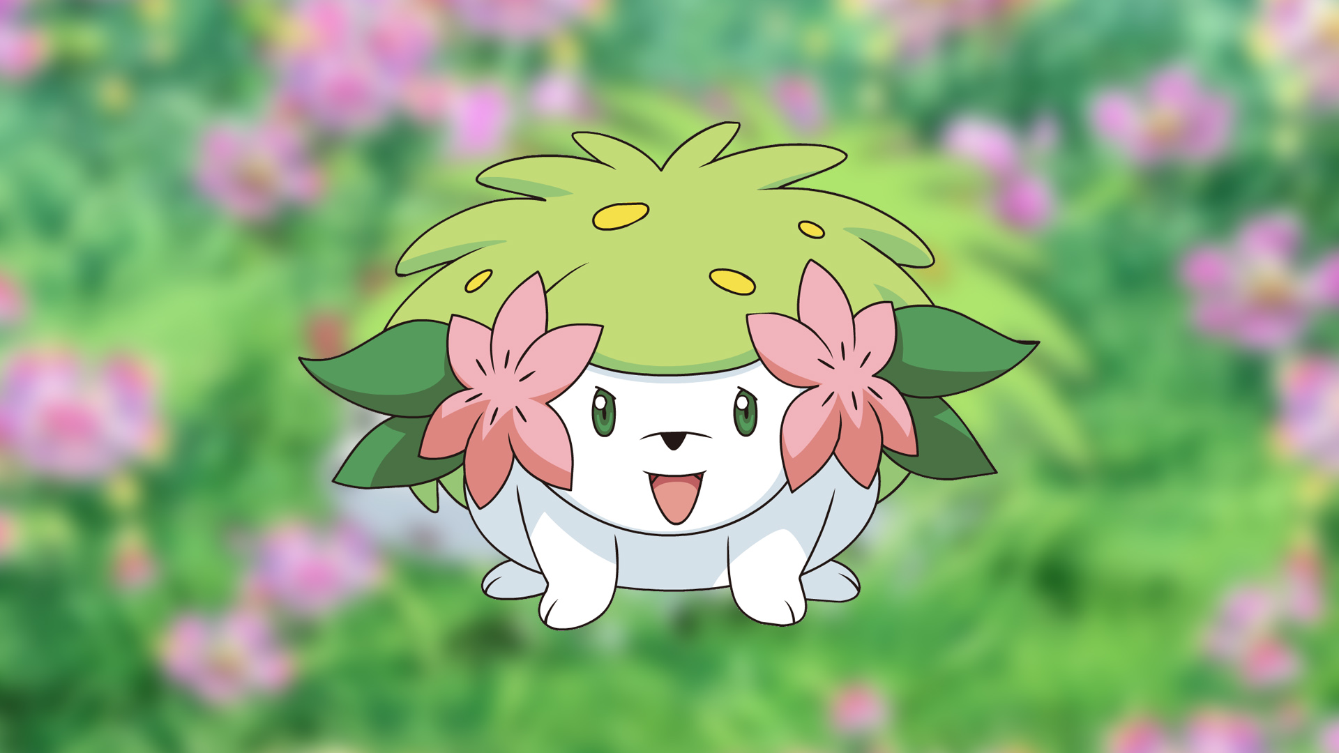 Shaymin Hd Wallpapers