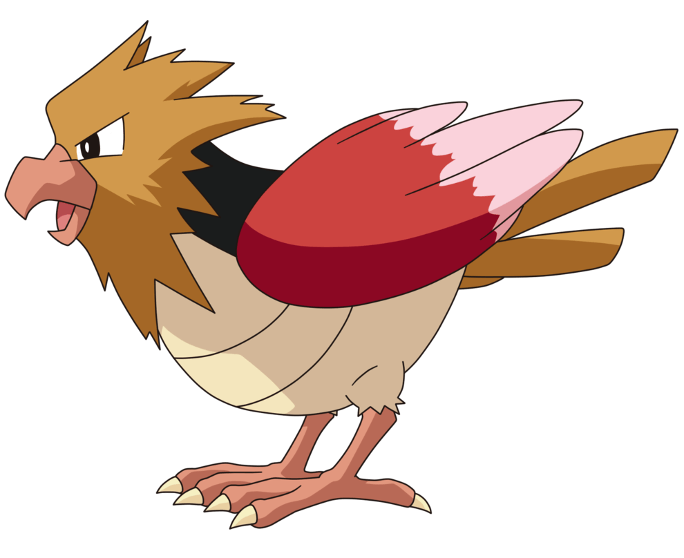 Spearow Hd Wallpapers