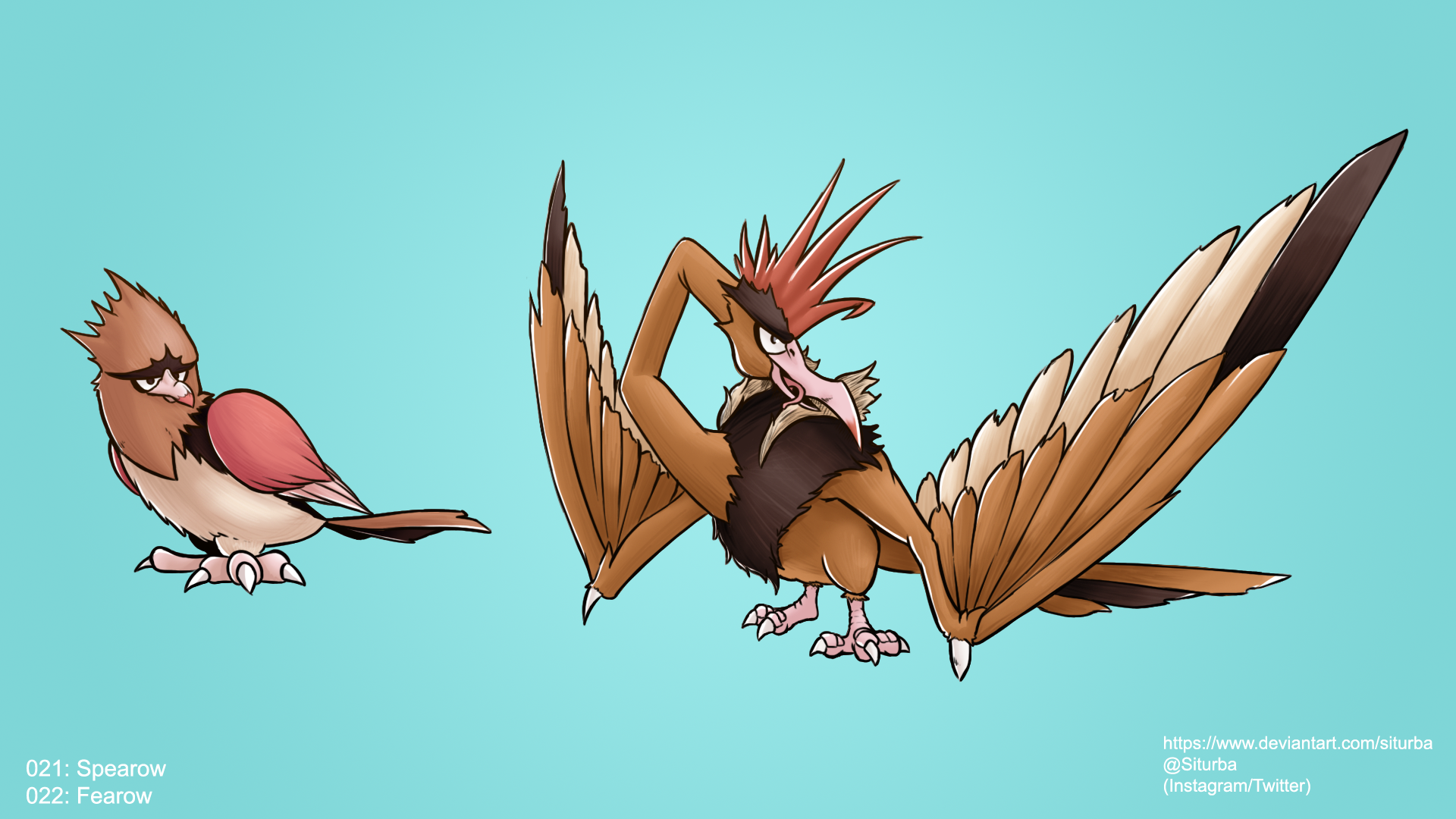 Spearow Hd Wallpapers