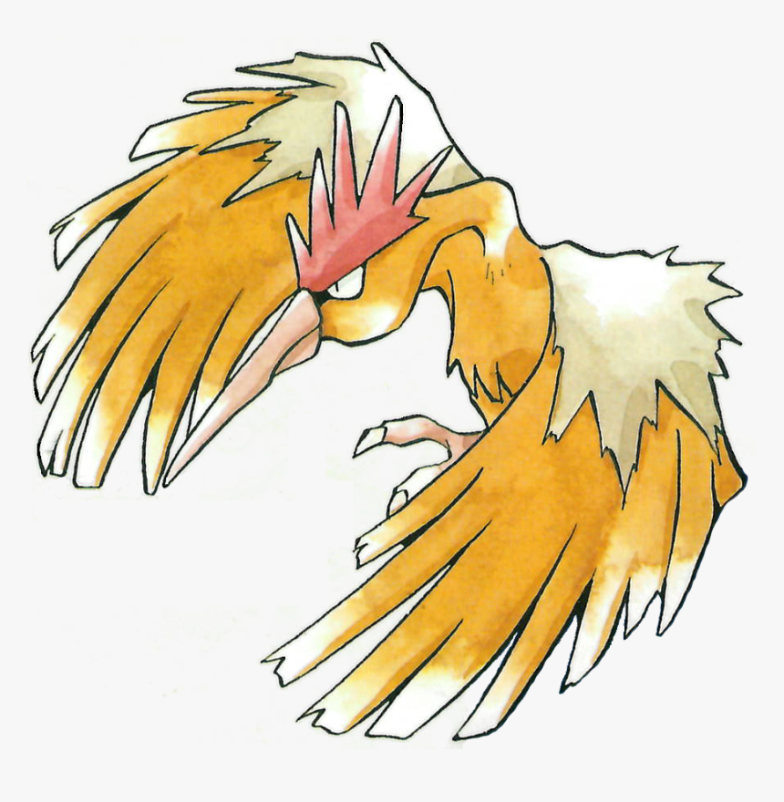 Spearow Hd Wallpapers