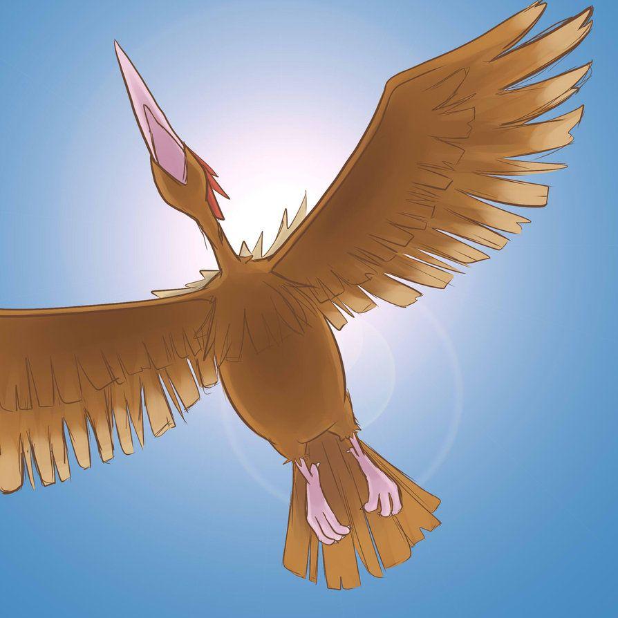 Spearow Hd Wallpapers