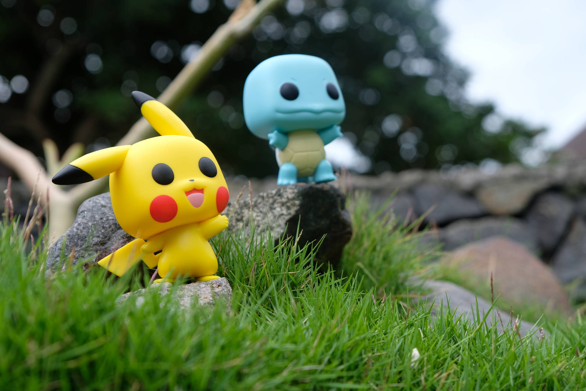 Squirtle Hd Wallpapers