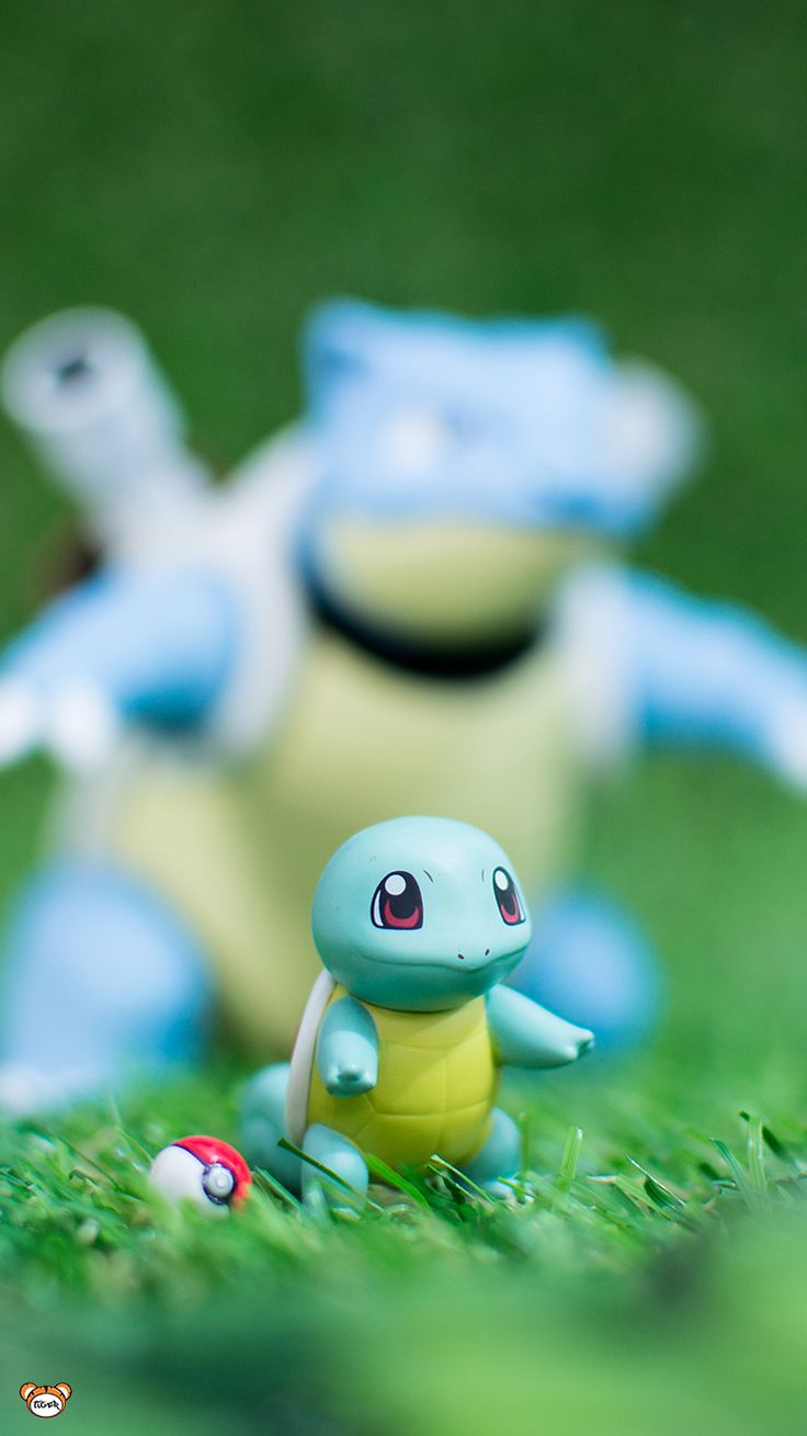 Squirtle Hd Wallpapers