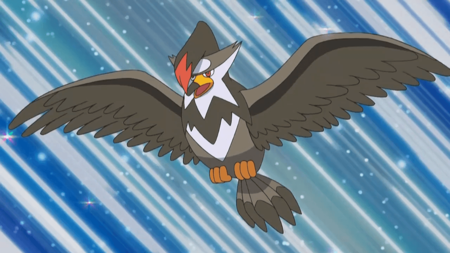 Staravia Hd Wallpapers