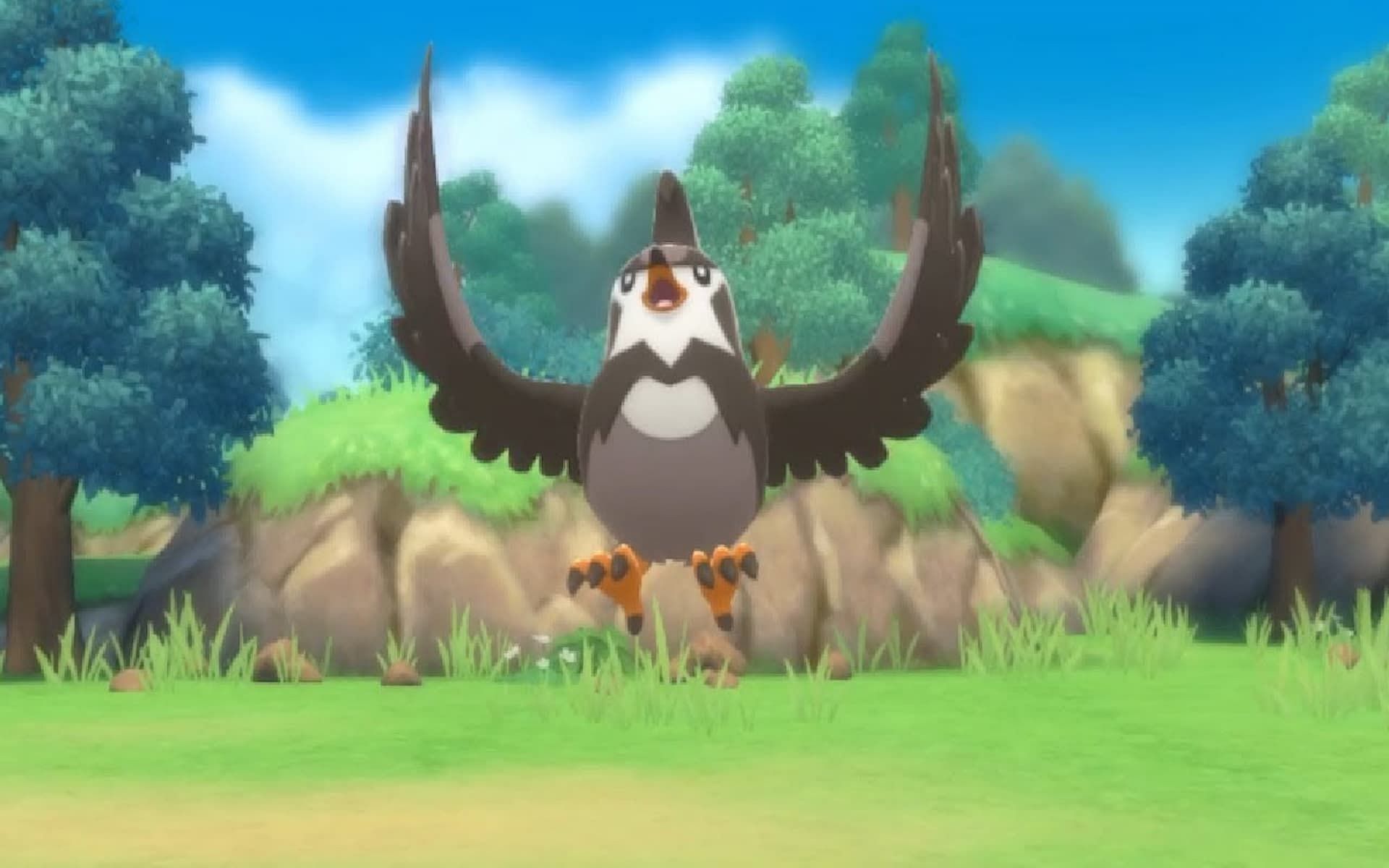 Staravia Hd Wallpapers