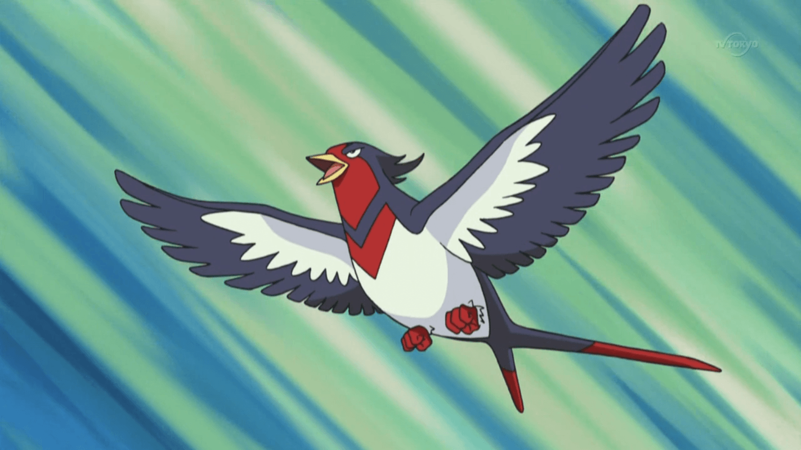 Swellow Hd Wallpapers