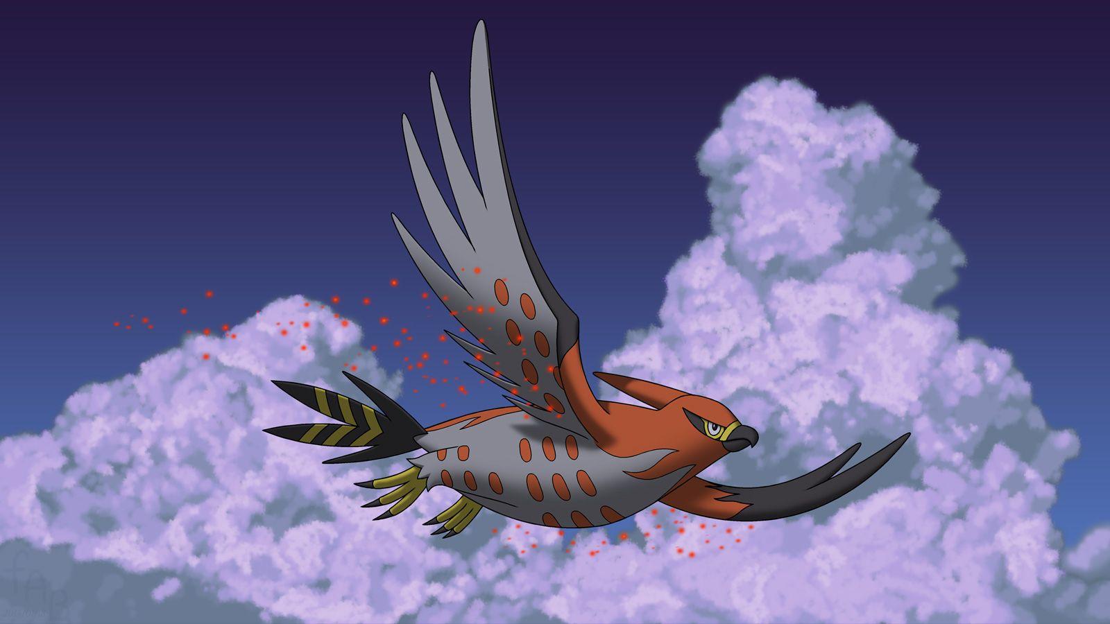 Talonflame Hd Wallpapers