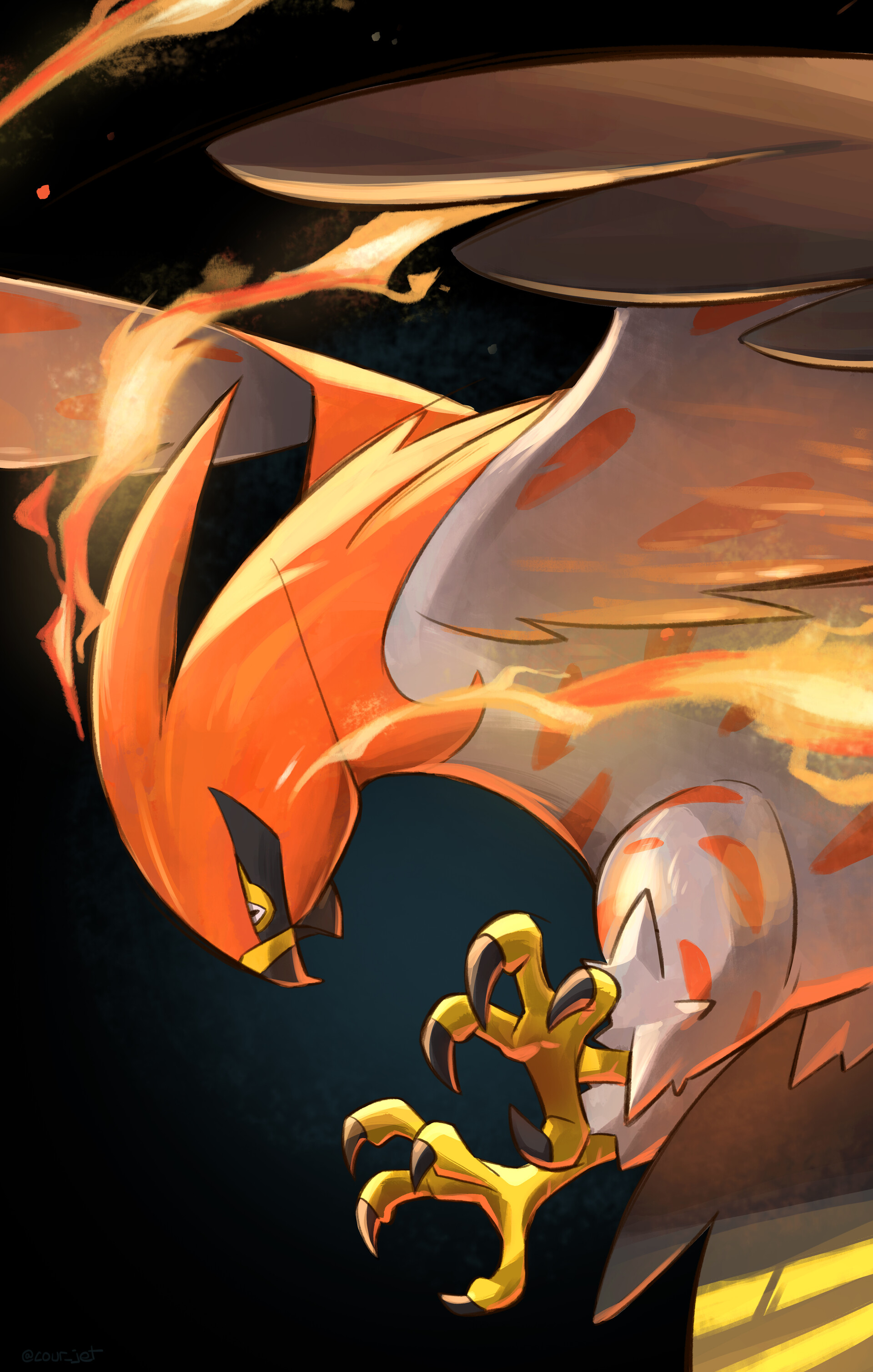 Talonflame Hd Wallpapers