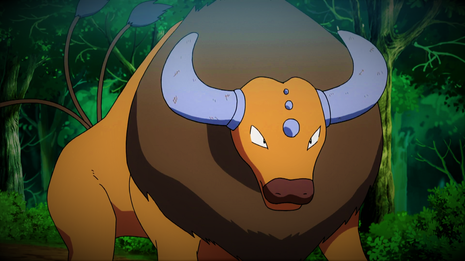 Tauros Hd Wallpapers