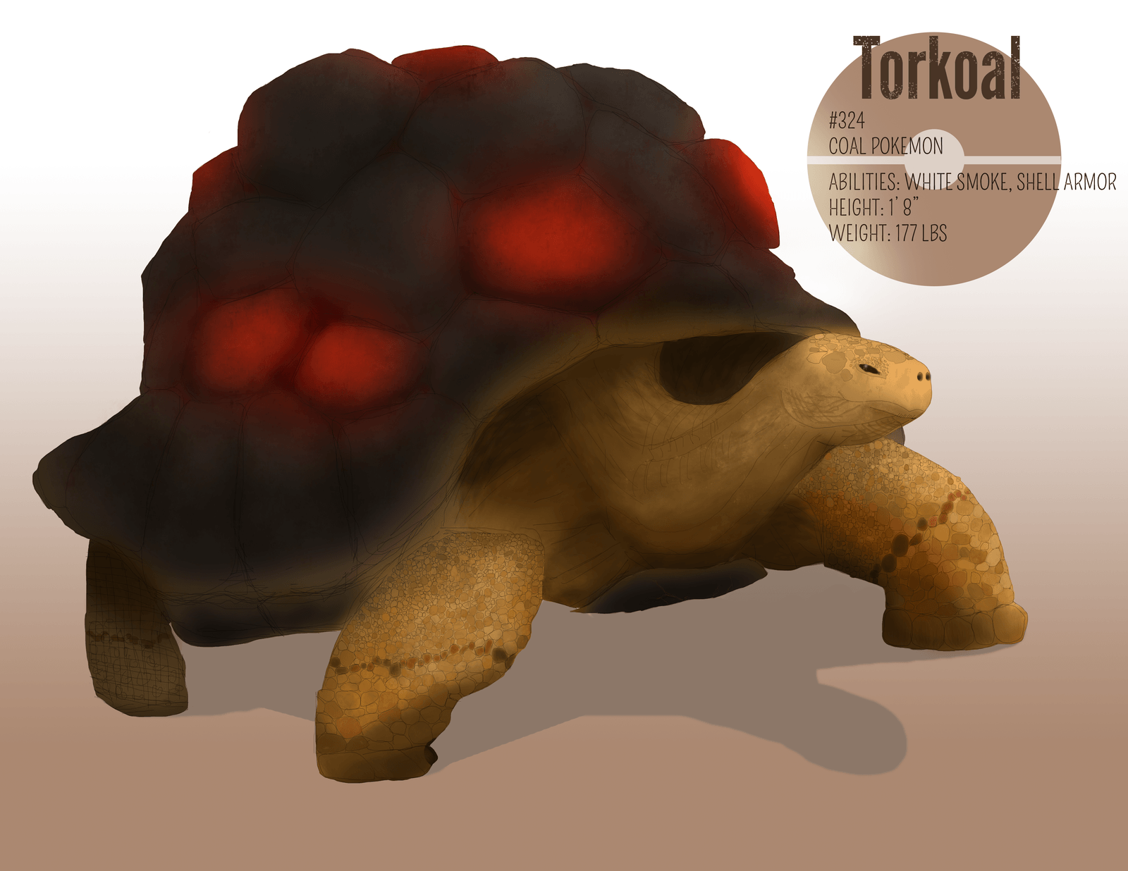 Torkoal Hd Wallpapers