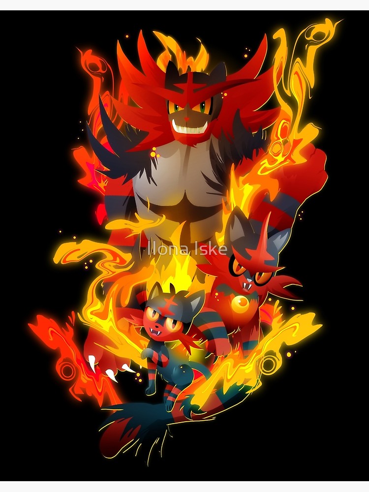 Torracat Hd Wallpapers