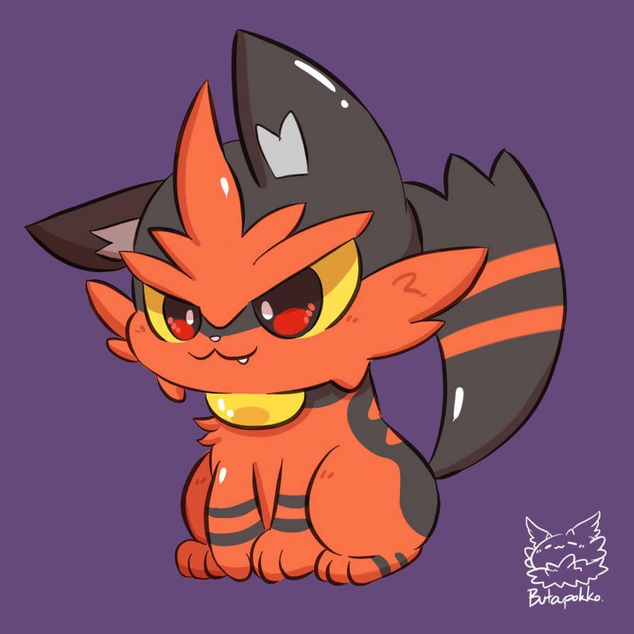 Torracat Hd Wallpapers