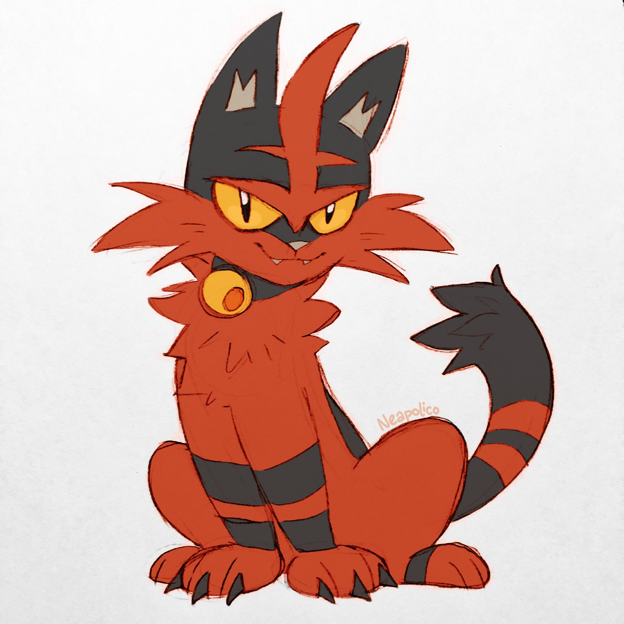 Torracat Hd Wallpapers