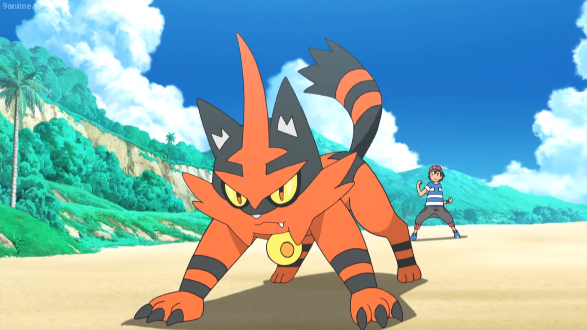 Torracat Hd Wallpapers