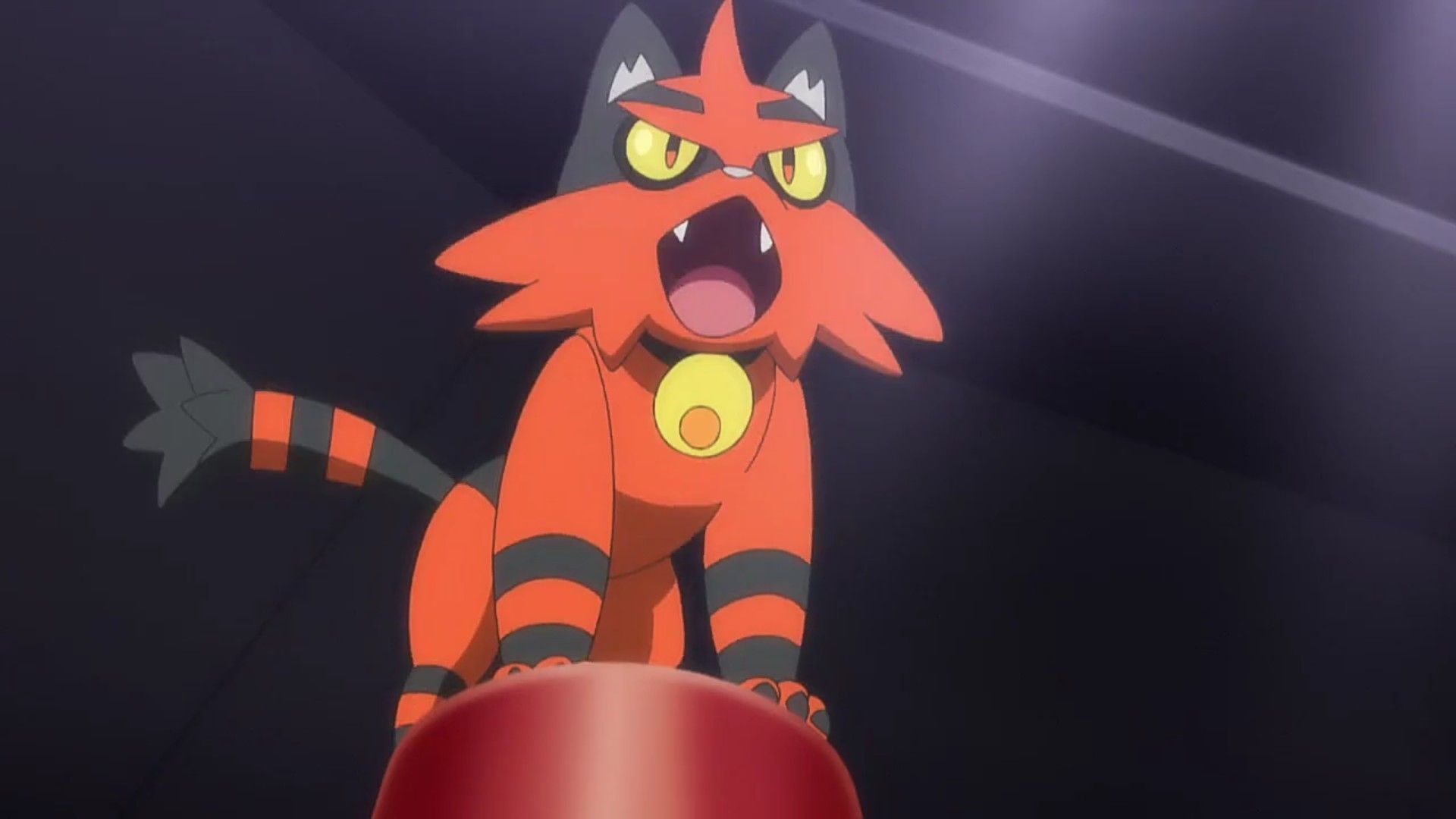 Torracat Hd Wallpapers