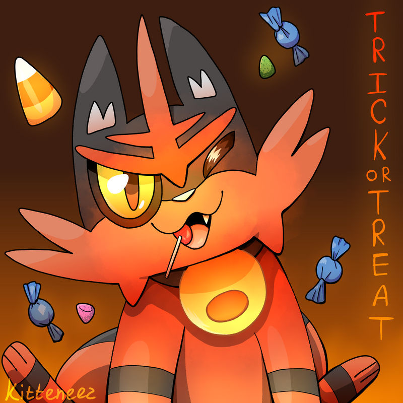 Torracat Hd Wallpapers