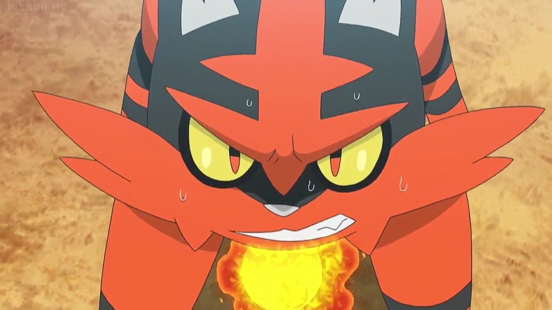 Torracat Hd Wallpapers