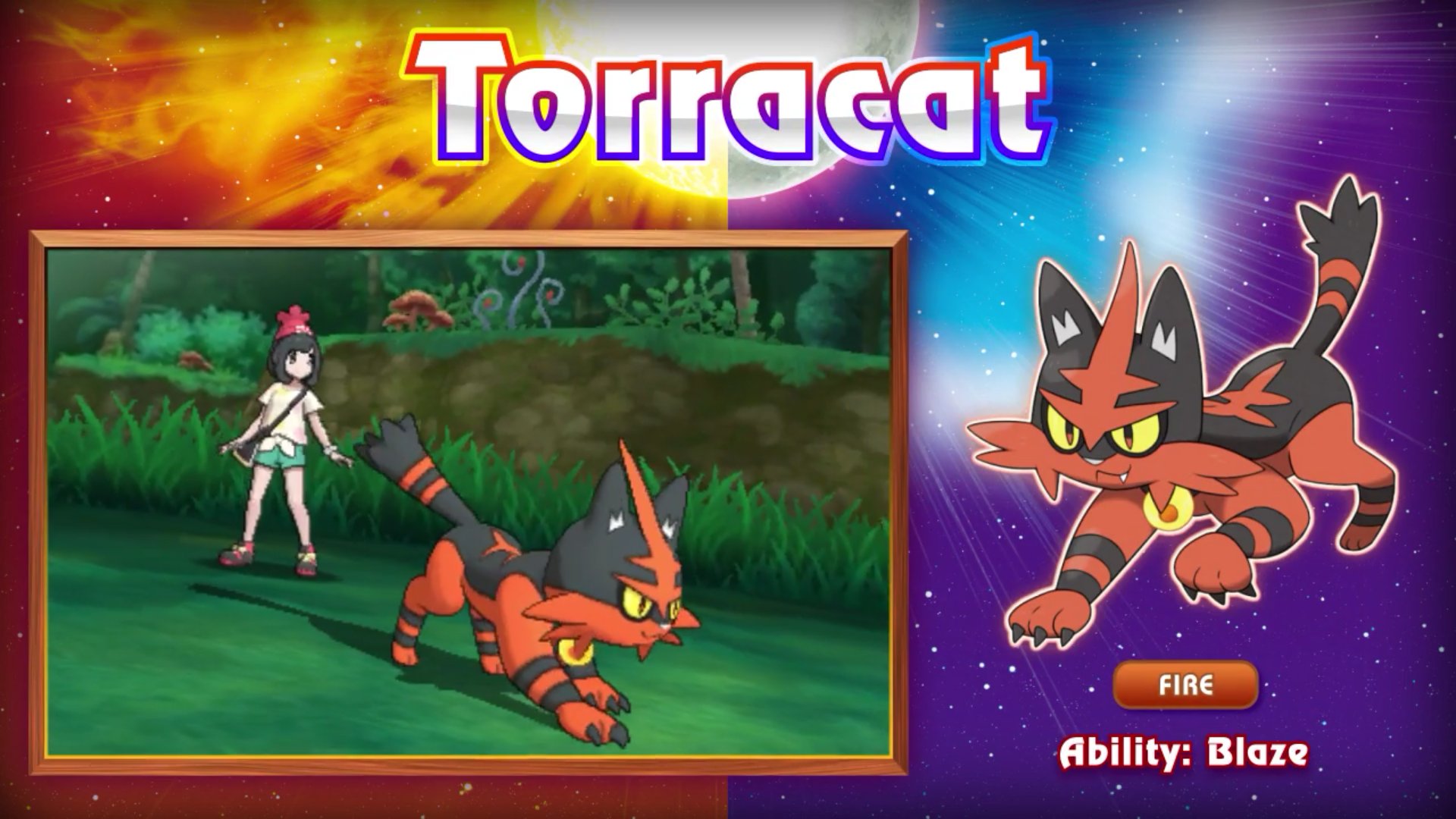 Torracat Hd Wallpapers