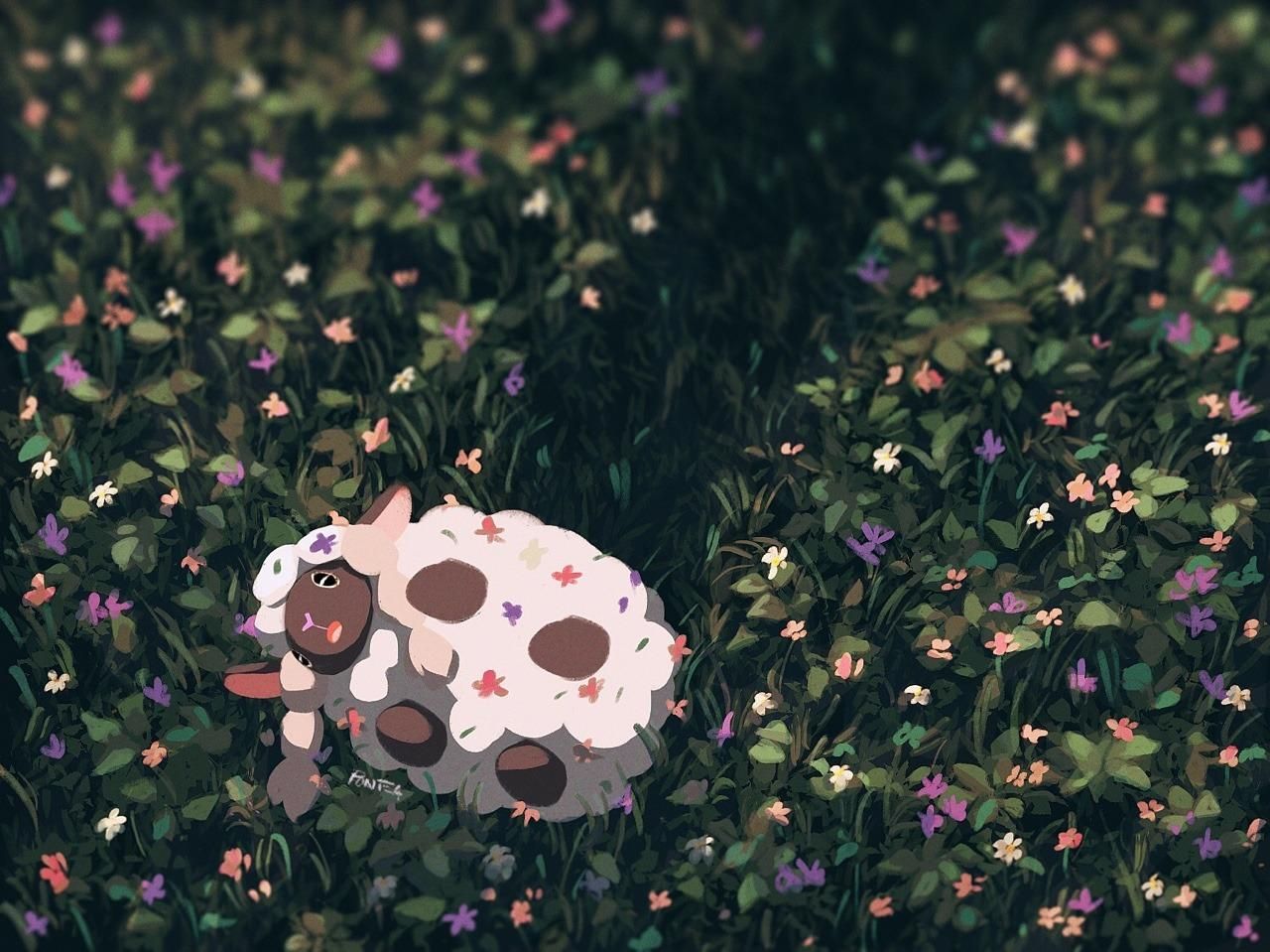 Wooloo Hd Wallpapers