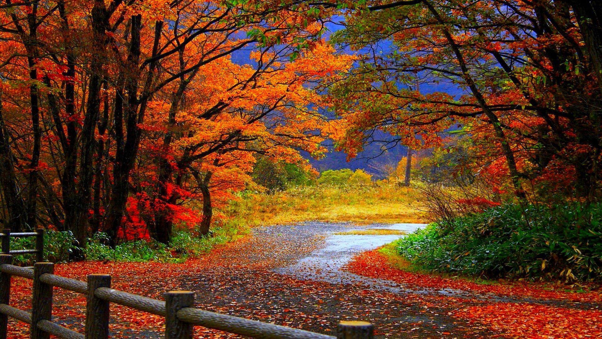 Beautiful Autumn Desktop Wallpapers