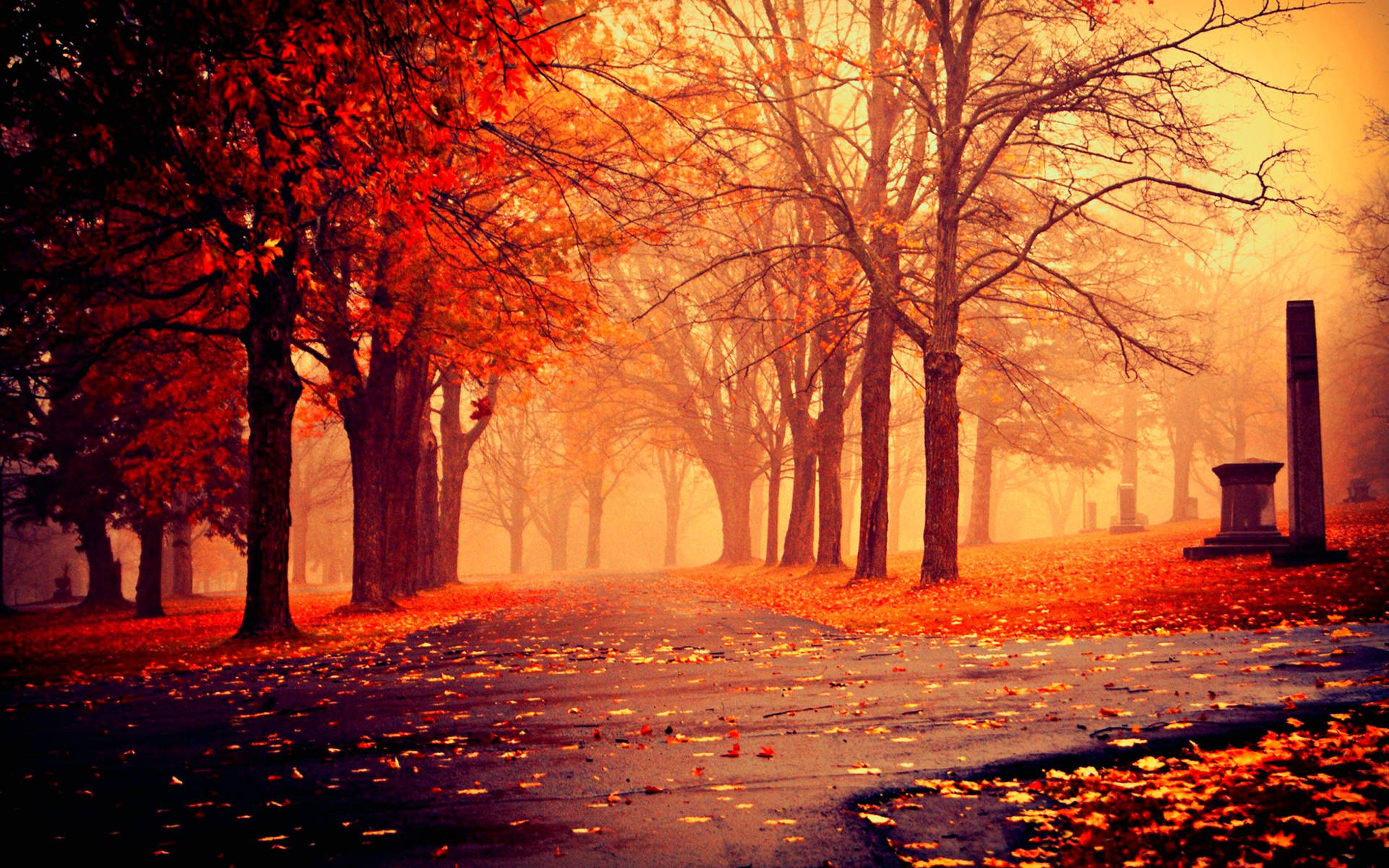 Beautiful Autumn Desktop Wallpapers