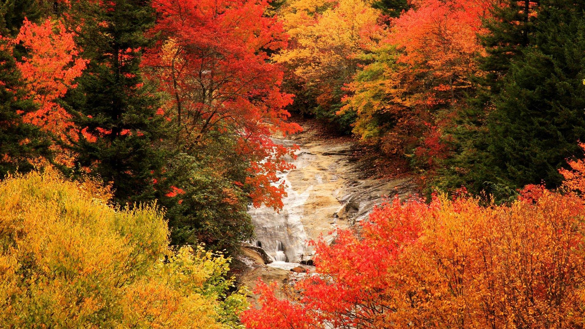 Beautiful Autumn Desktop Wallpapers