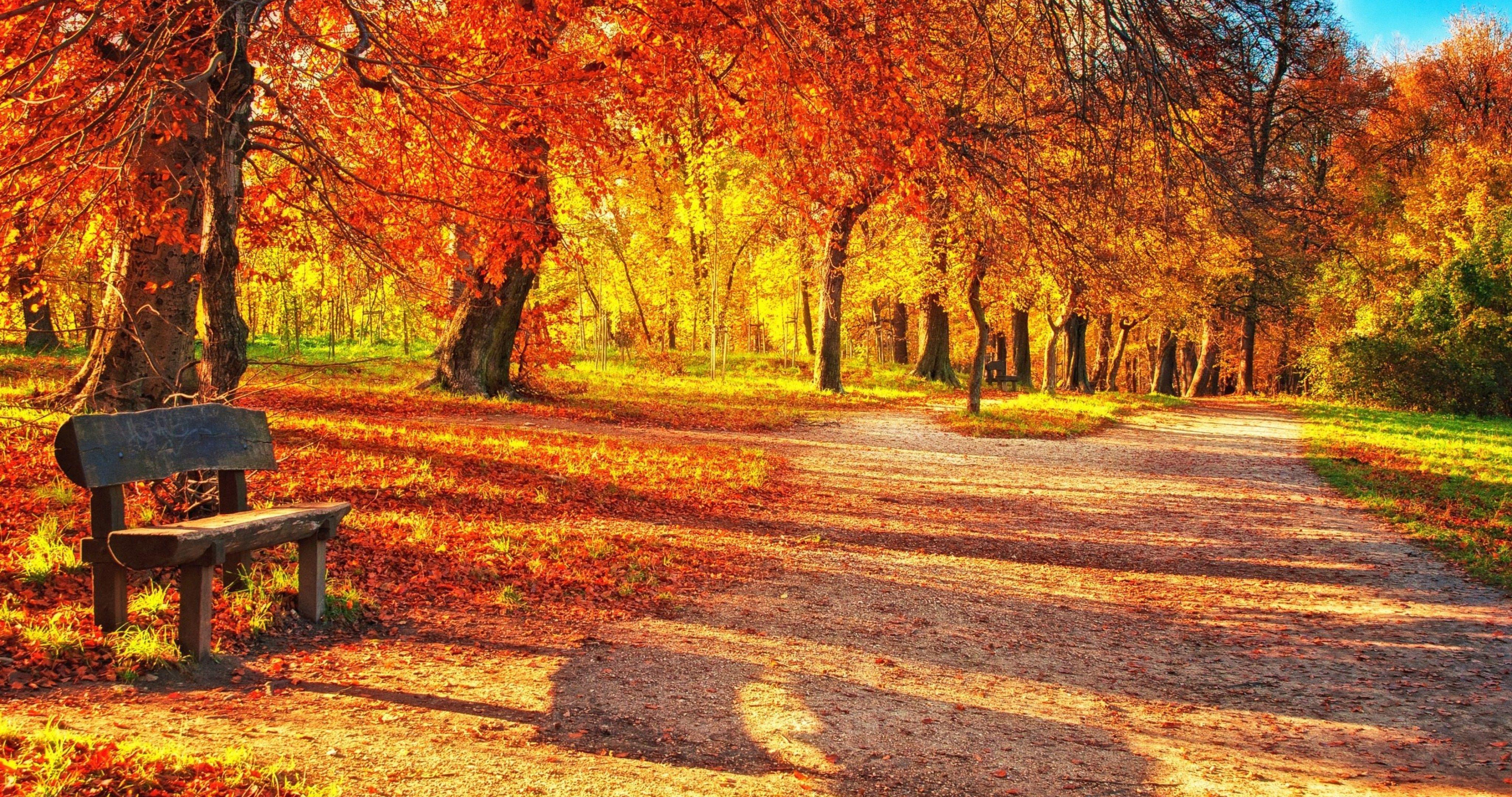 Beautiful Autumn Desktop Wallpapers