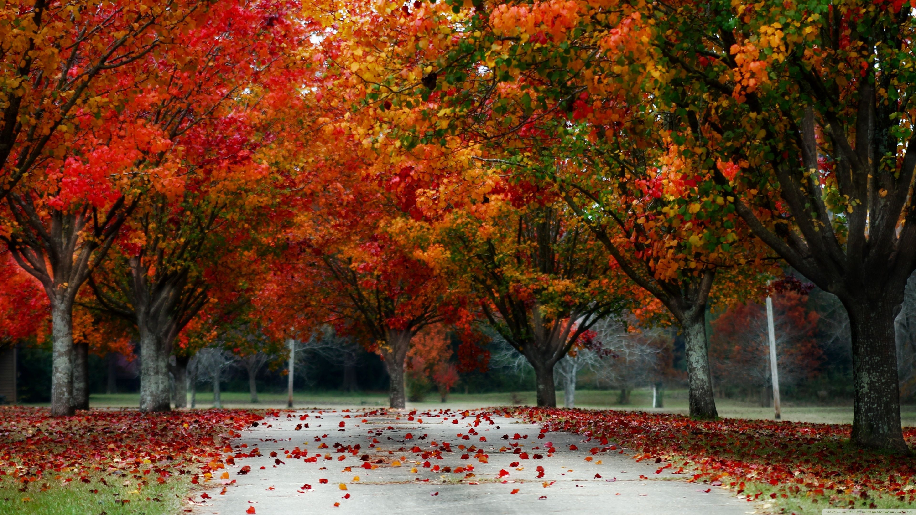 Beautiful Autumn Desktop Wallpapers