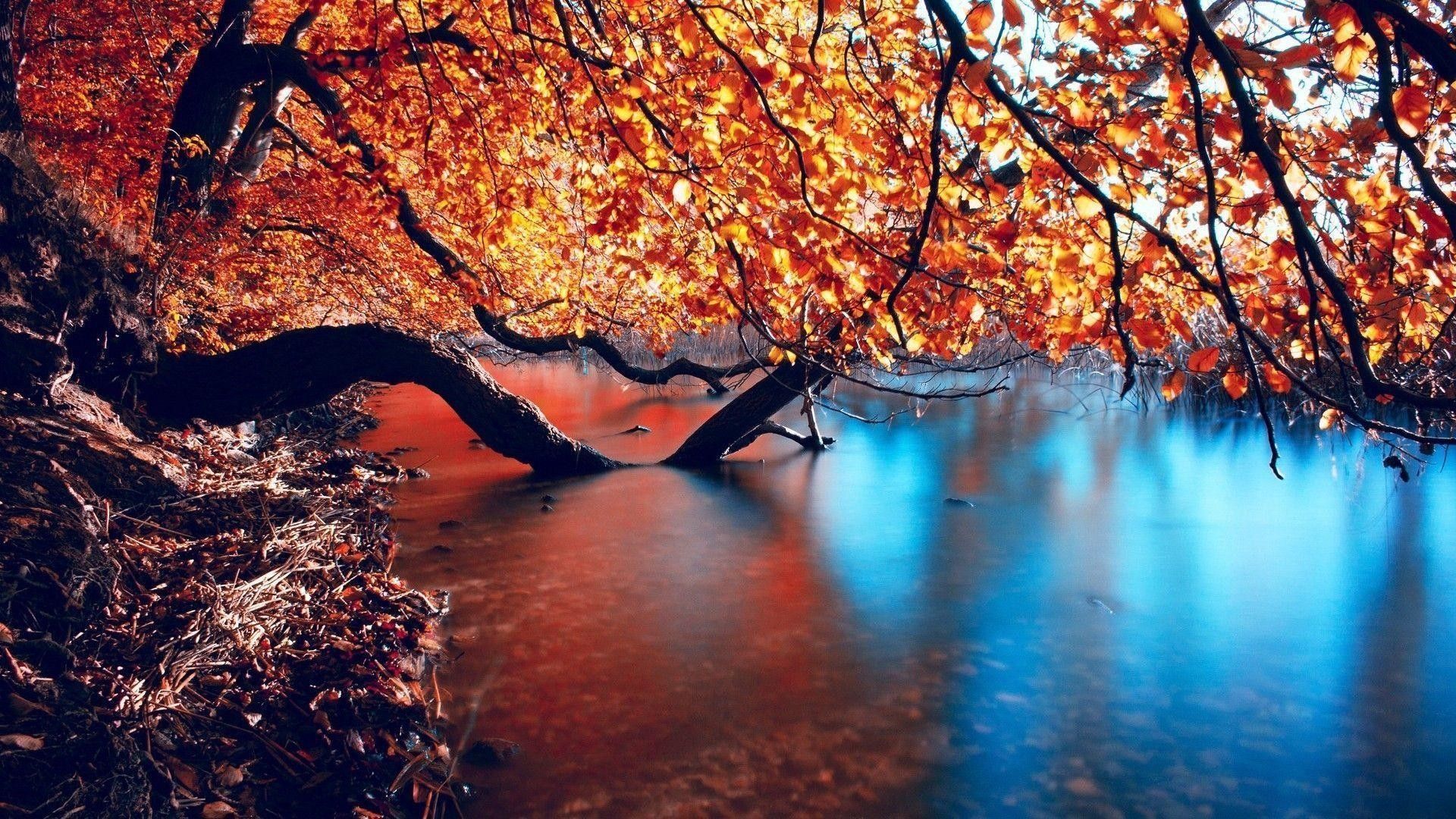 Beautiful Autumn Desktop Wallpapers