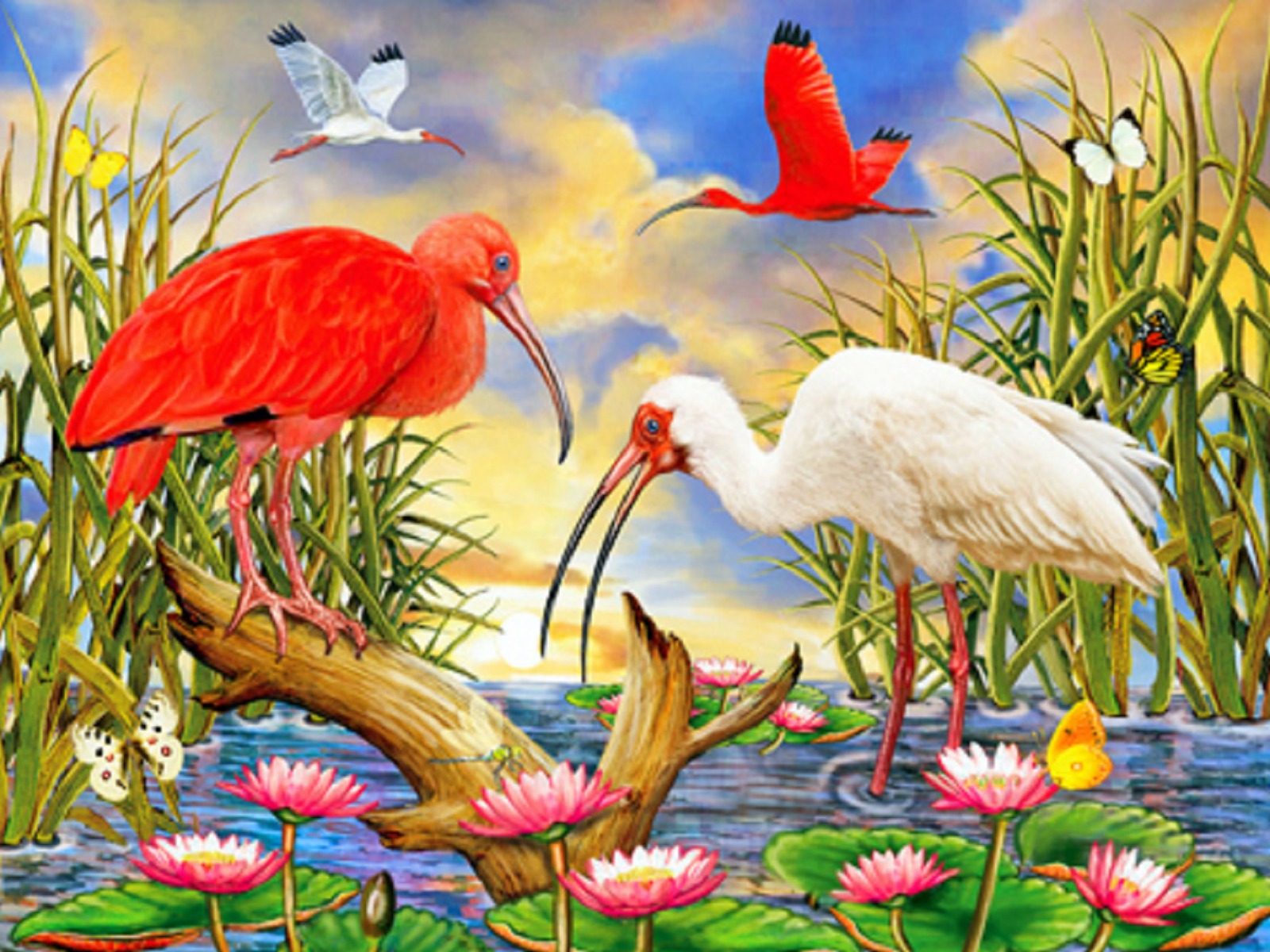 Beautiful Bird And Flower Wallpapers