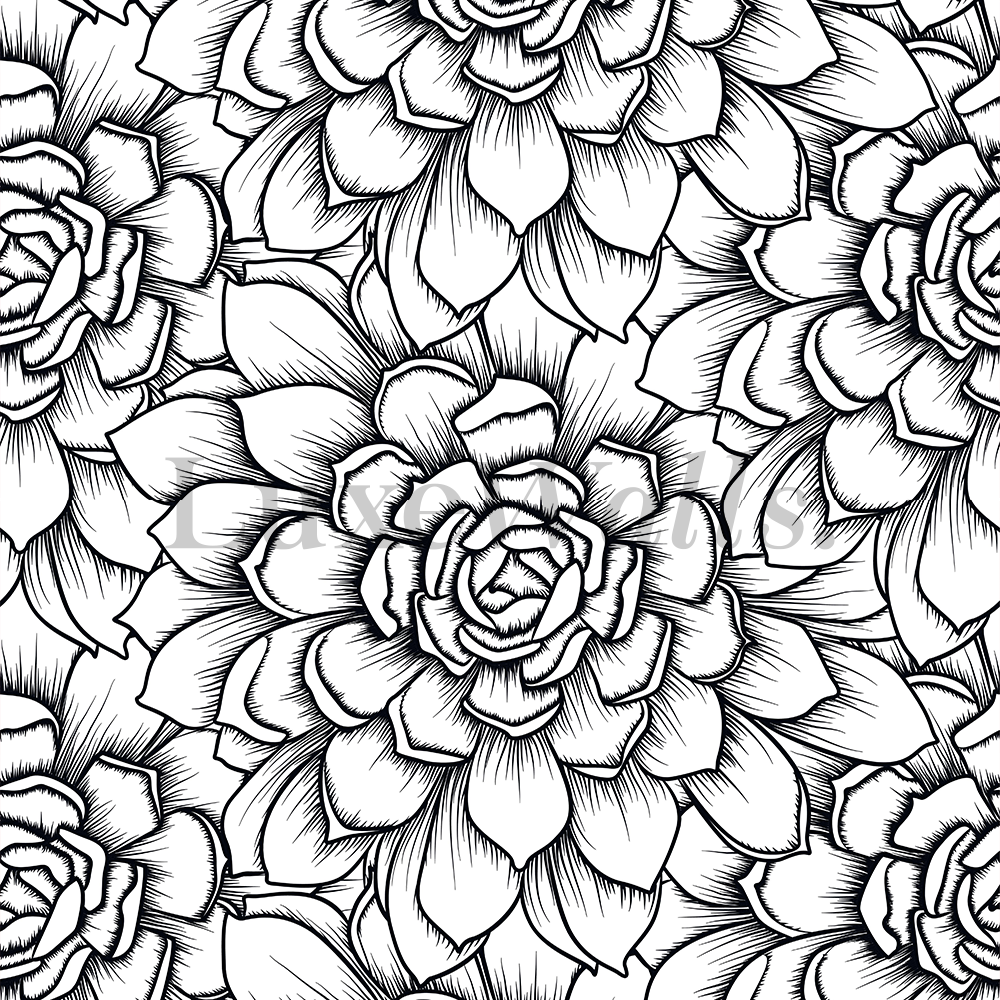 Beautiful Black And White Flower Wallpapers
